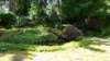 dsc00313_small.jpg
