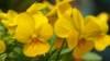 dsc00319_small.jpg