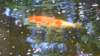 dsc00324_small.jpg