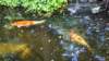 dsc00325_small.jpg