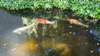dsc00326_small.jpg