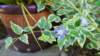 dsc00327_small.jpg