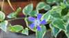 dsc00328_small.jpg