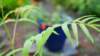 dsc00329_small.jpg