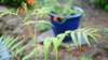 dsc00330_small.jpg