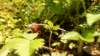dsc00336_small.jpg