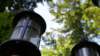 dsc00338_small.jpg