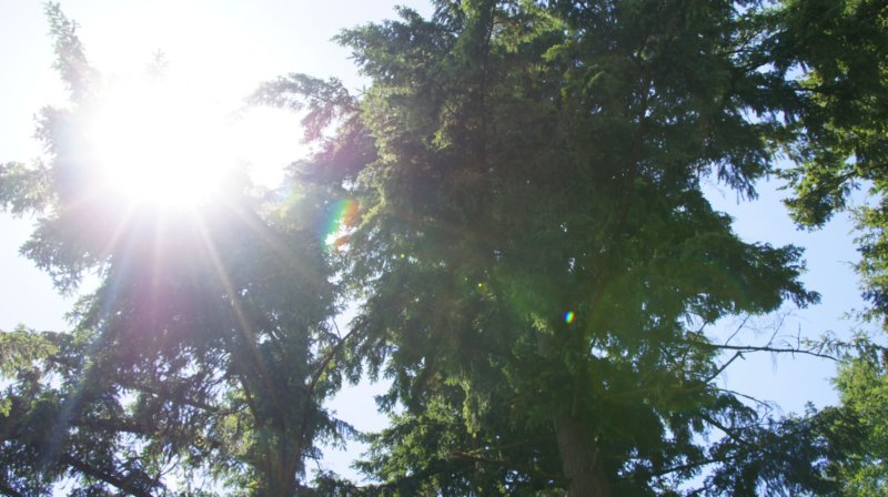 dsc00345.jpg