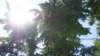 dsc00345_small.jpg