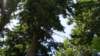 dsc00346_small.jpg