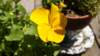 dsc00347_small.jpg