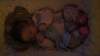 dsc00874_small.jpg