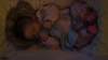 dsc00875_small.jpg