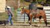 dsc00483_small.jpg