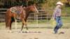 dsc00484_small.jpg