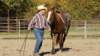 dsc00485_small.jpg