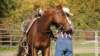 dsc00488_small.jpg