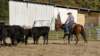 dsc00490_small.jpg