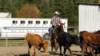 dsc00491_small.jpg