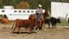 dsc00492_small.jpg