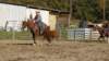 dsc00493_small.jpg
