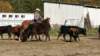 dsc00494_small.jpg