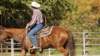 dsc00495_small.jpg
