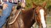 dsc00496_small.jpg