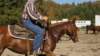 dsc00499_small.jpg