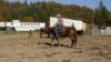 dsc00500_small.jpg