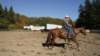 dsc00503_small.jpg