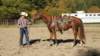 dsc00508_small.jpg