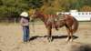 dsc00509_small.jpg