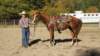 dsc00510_small.jpg