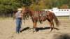 dsc00511_small.jpg