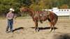dsc00512_small.jpg