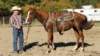 dsc00513_small.jpg