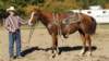 dsc00514_small.jpg