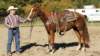 dsc00515_small.jpg