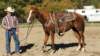 dsc00516_small.jpg