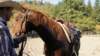 dsc00519_small.jpg