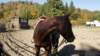 dsc00521_small.jpg