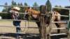 dsc00525_small.jpg