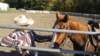 dsc00528_small.jpg