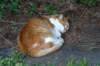 img_0435_small.jpg