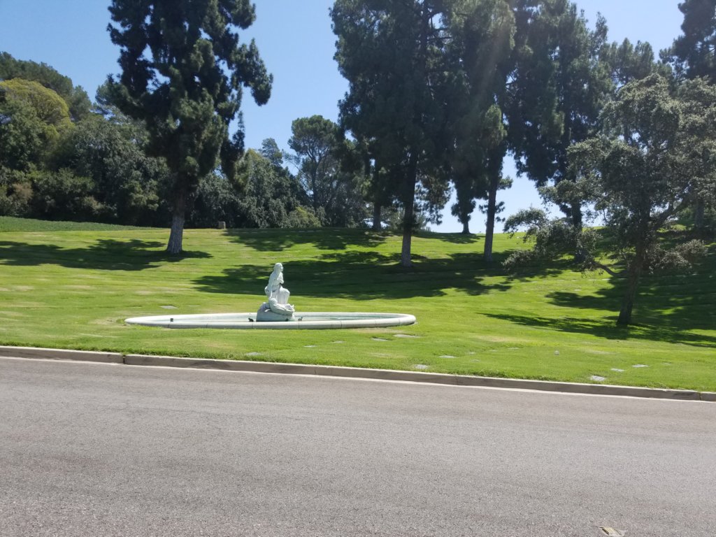 _124940.jpg