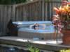 img_0037_small.jpg