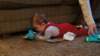 dsc00598_small.jpg