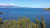 _101553_small.jpg