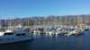 _152135_small.jpg
